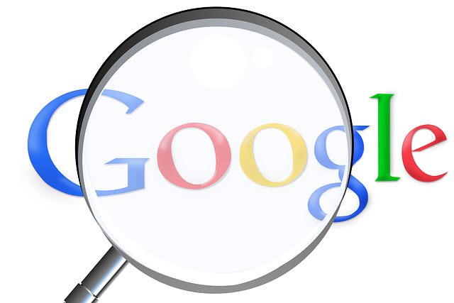 Internetový prehliadač Google.png